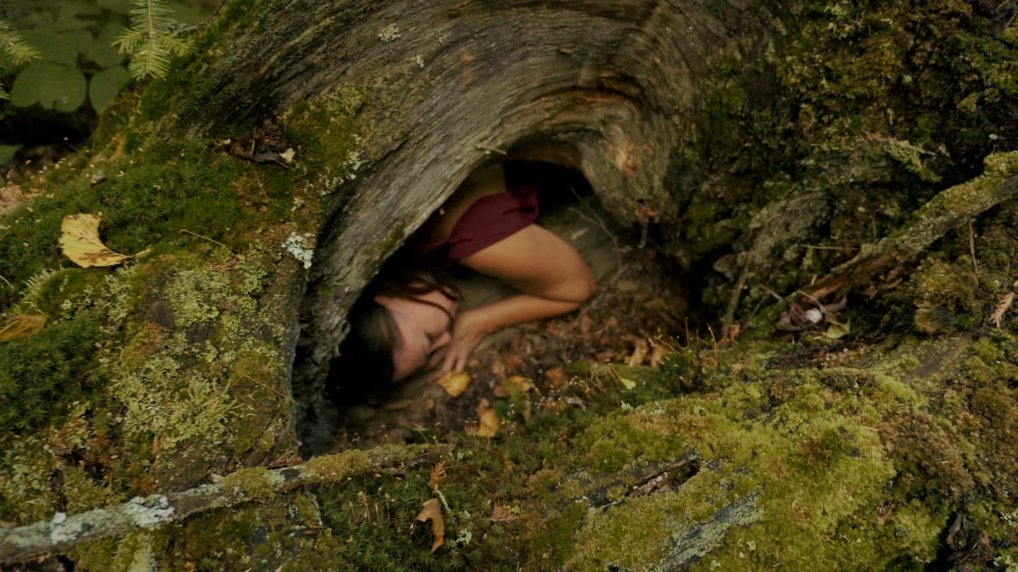 IndigiDance on Screen