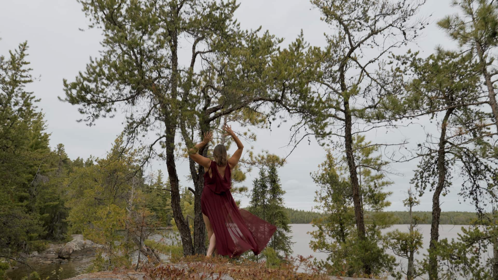 Still from the film The Land is Alive